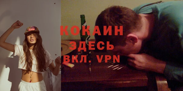 мяу мяу мука Горно-Алтайск