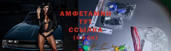 мяу мяу мука Горно-Алтайск