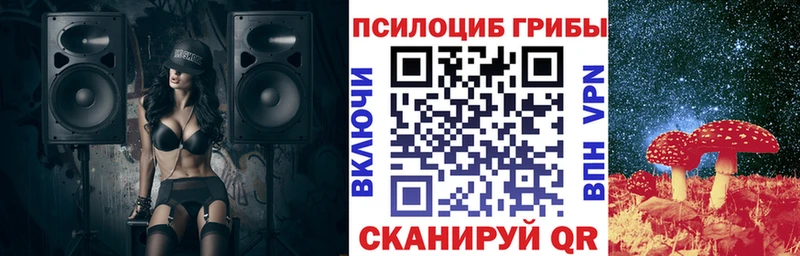Псилоцибиновые грибы MAGIC MUSHROOMS магазин наркотиков Черноголовка